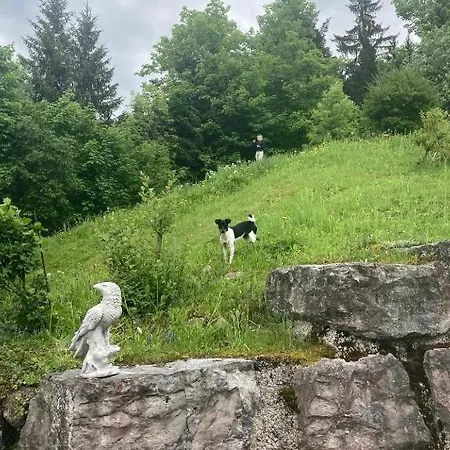 Riemerfeld * Berchtesgaden